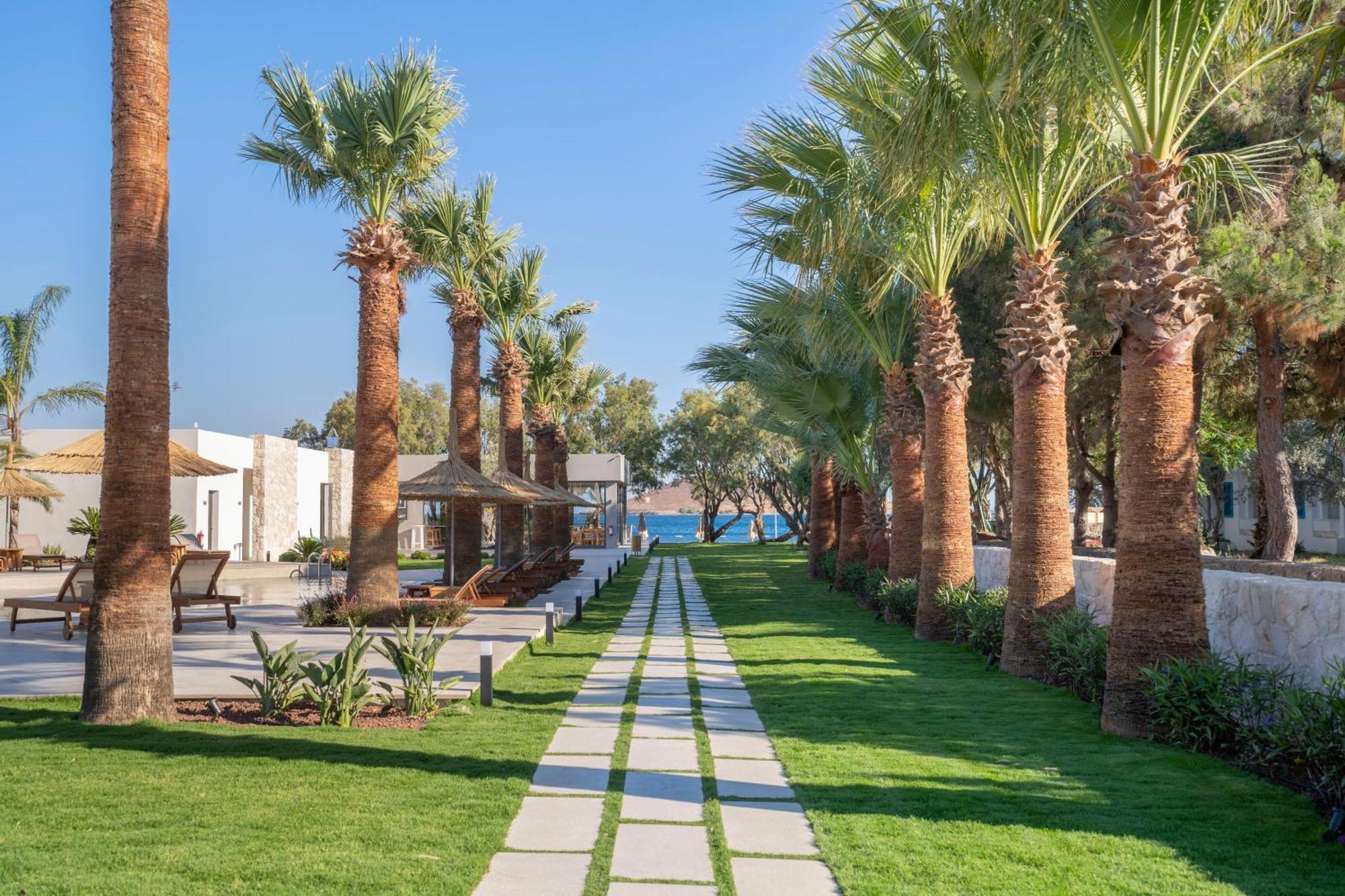 Regia Mare Beach Hotel & Spa Bodrum Ortakent Extérieur photo